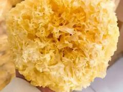 药食同源区域代理招商